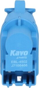 Kavo EBL-4502