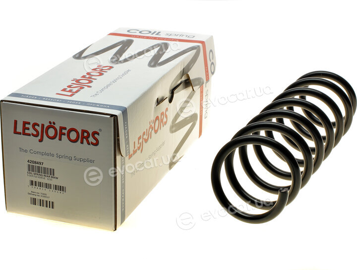 Lesjofors 4208497