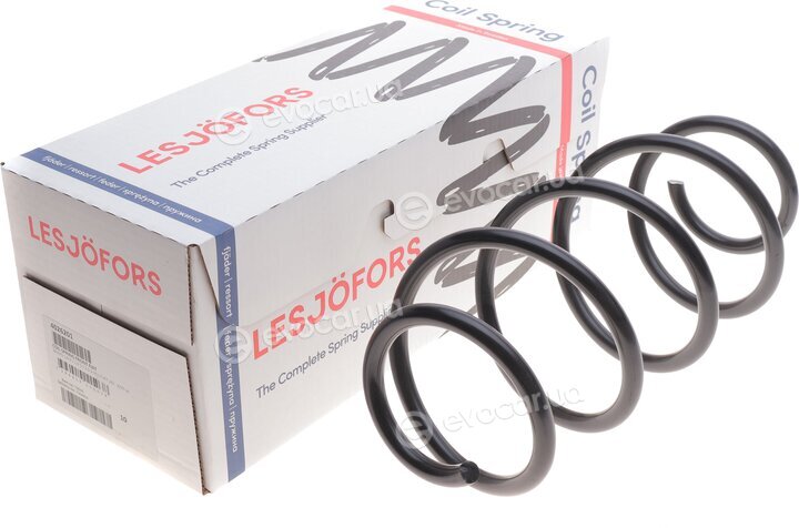 Lesjofors 4026201