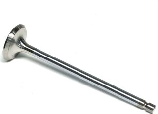 Gunes 3701