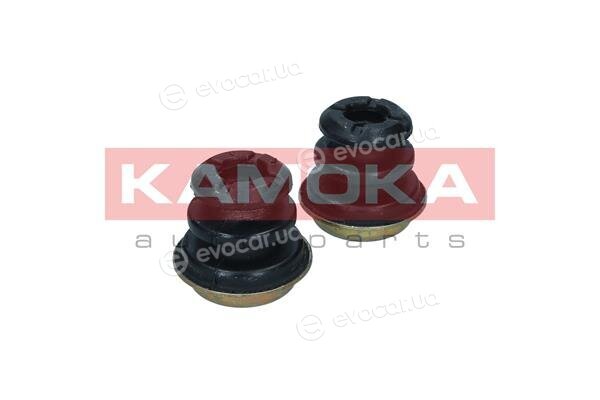 Kamoka 2019146