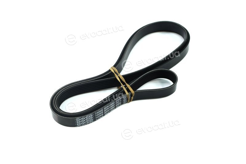 Dayco 6PK1880