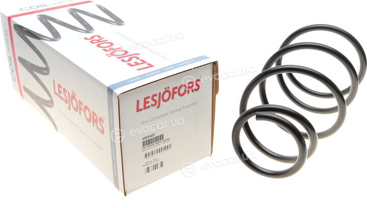 Lesjofors 4055407