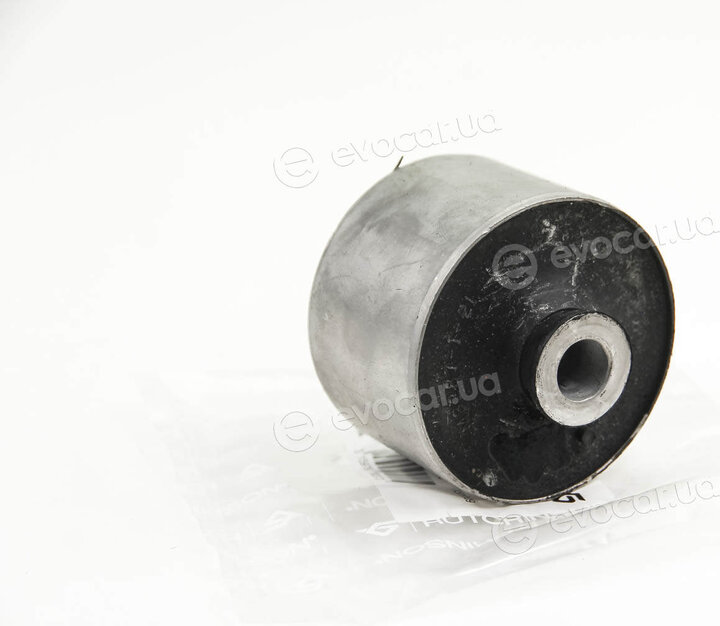 Hutchinson 590175