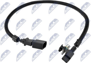 NTY ECP-AU-031