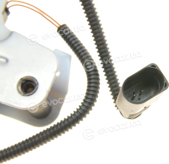 Borsehung B10265