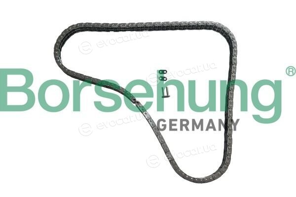 Borsehung B13348