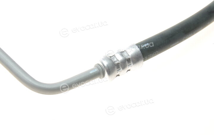 AIC 54995