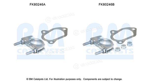 BM Catalysts FK80246B