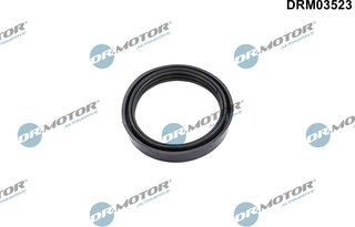 Dr. Motor DRM03523