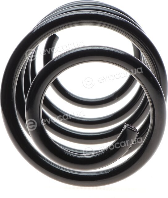 Solgy 212022