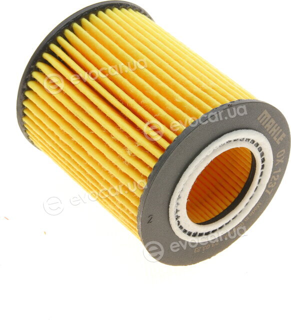 Mahle OX 1237D