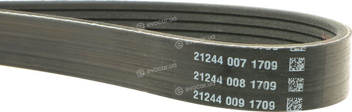 Dayco 6PK1355