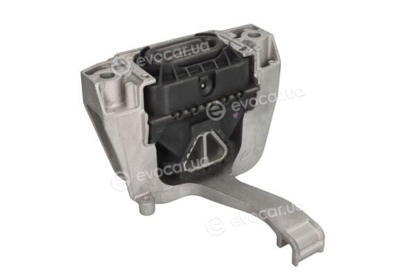 Reinhoch RH11-0177