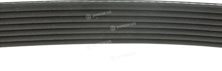 Dayco 7PK2872