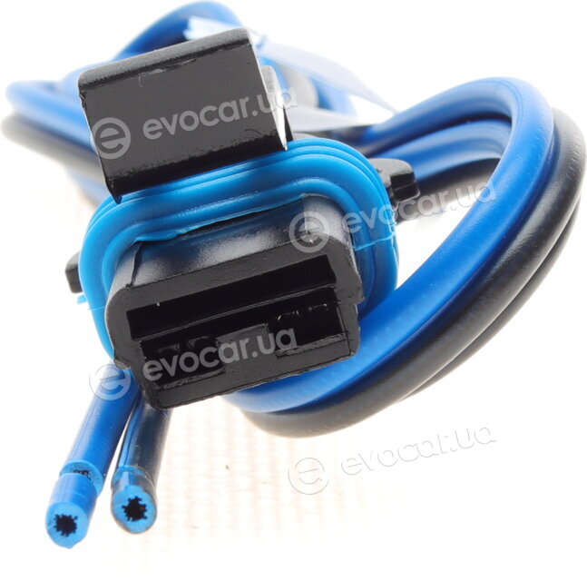 Miraglio 30/1495