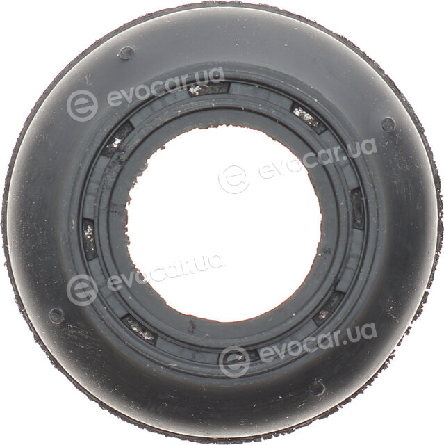 Belgum BG0179