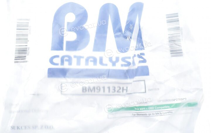 BM Catalysts BM91132H