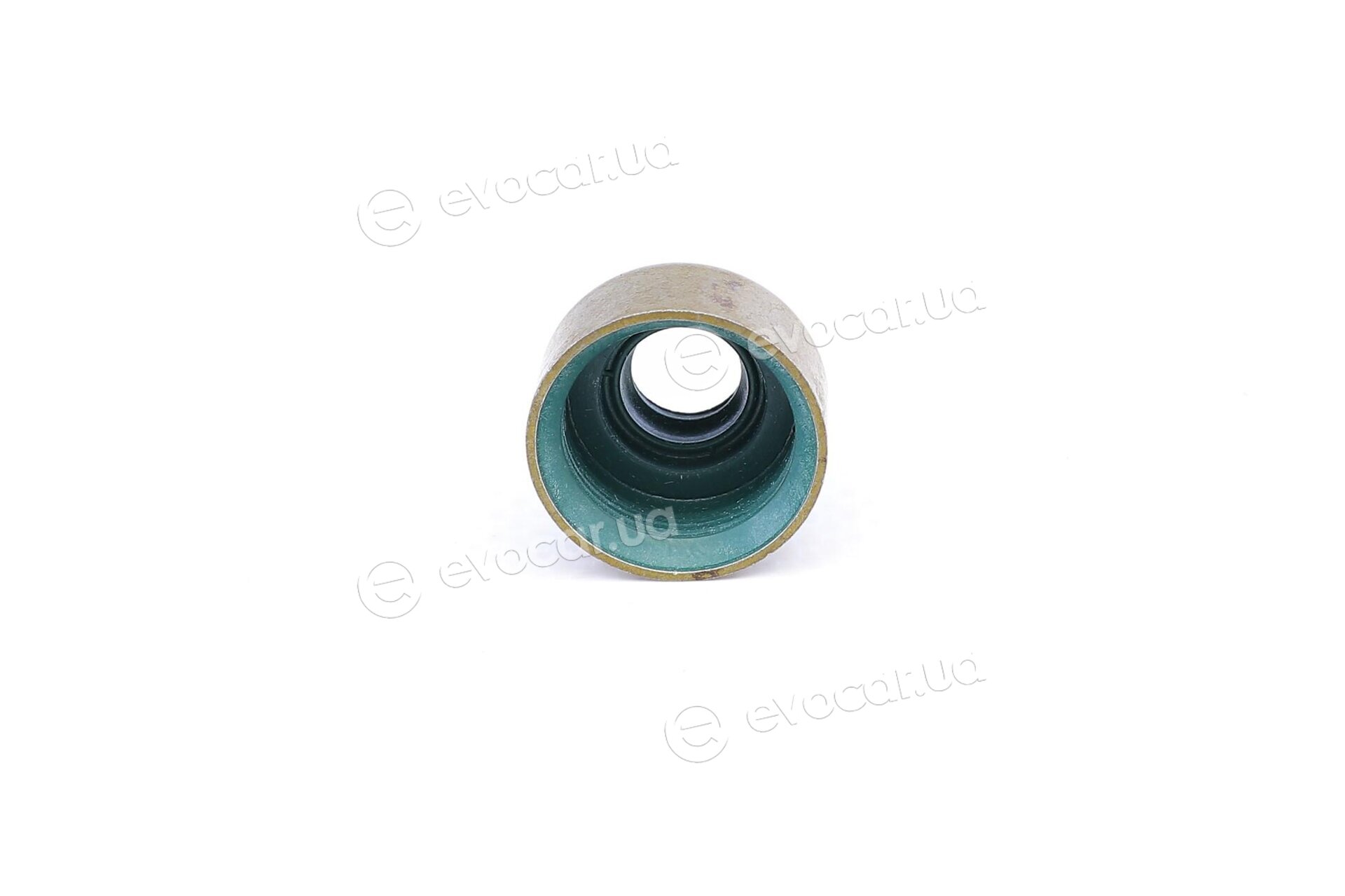 Elring 590.630