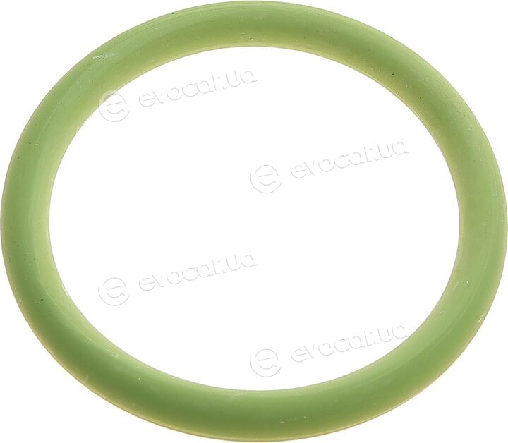 Elring 527.250