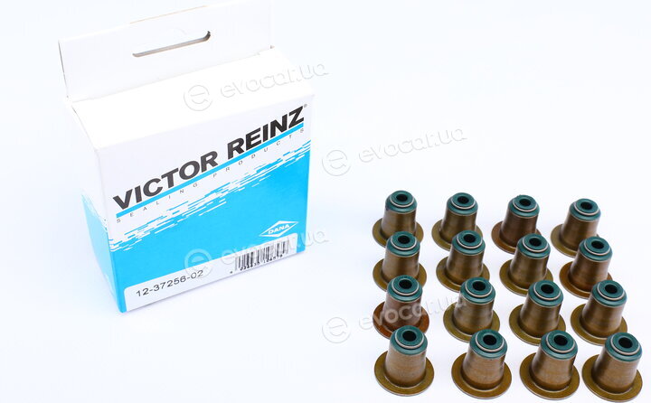 Victor Reinz 12-37256-02