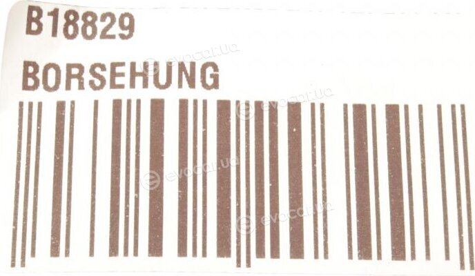 Borsehung B18829