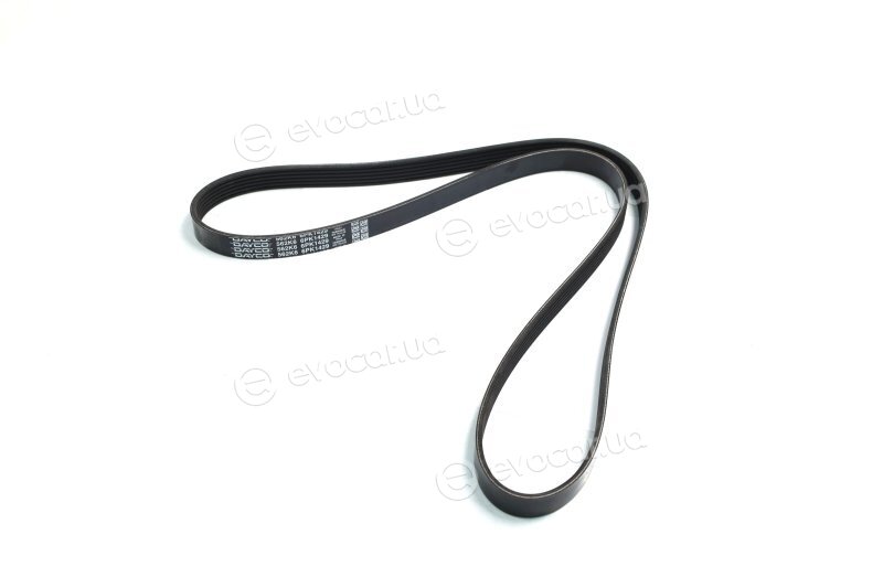Dayco 6PK1429