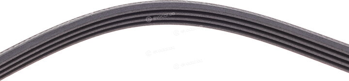 Continental 4PK1485