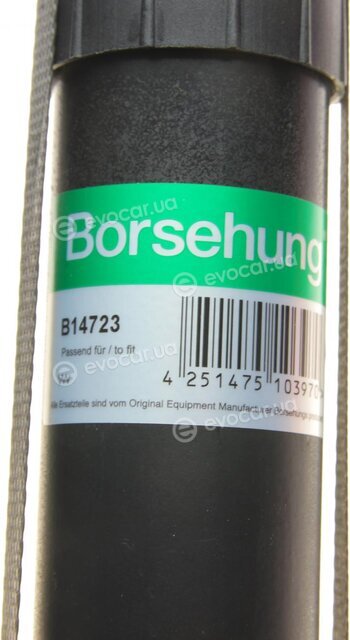 Borsehung B14723