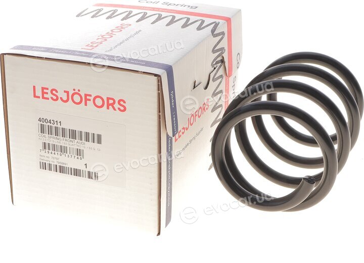 Lesjofors 4004311