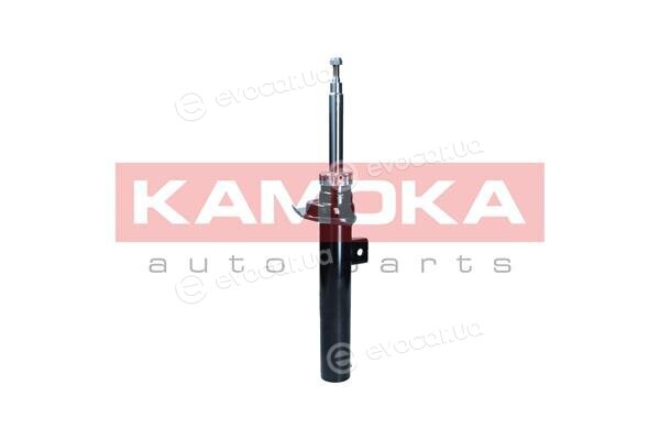Kamoka 2001113