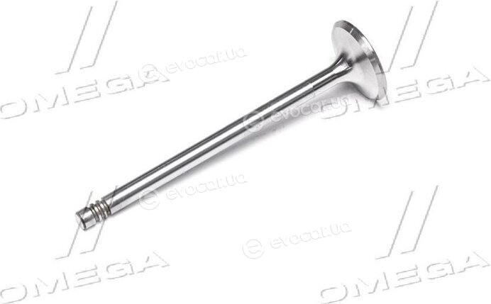 Gunes 4018