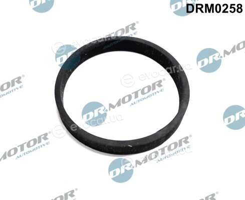 Dr. Motor DRM0258