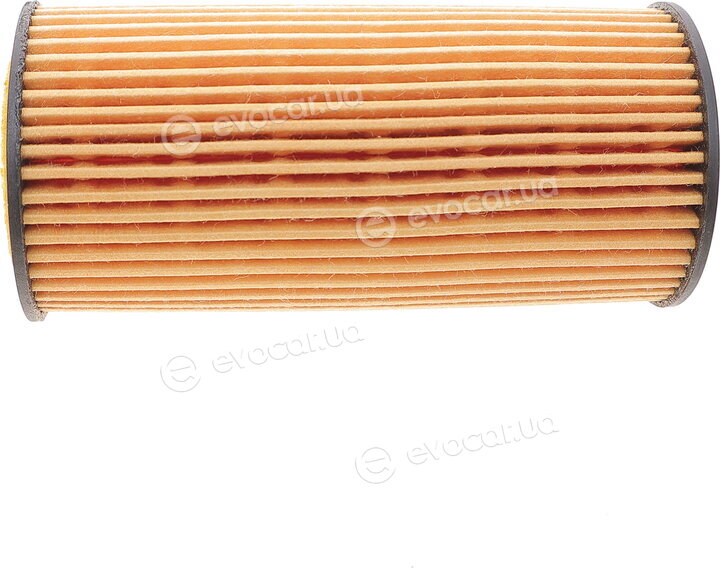 Solgy 101055