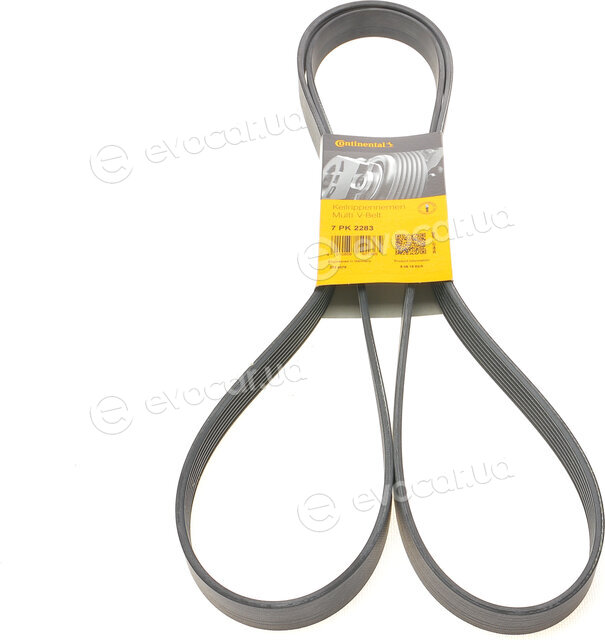 Continental 7PK2283
