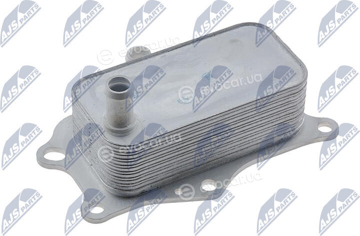 NTY CCL-PL-010