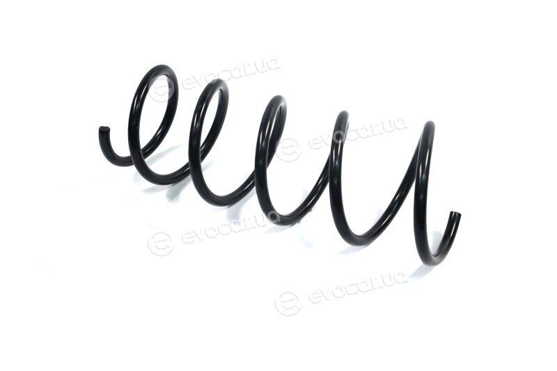 Lesjofors 4017005