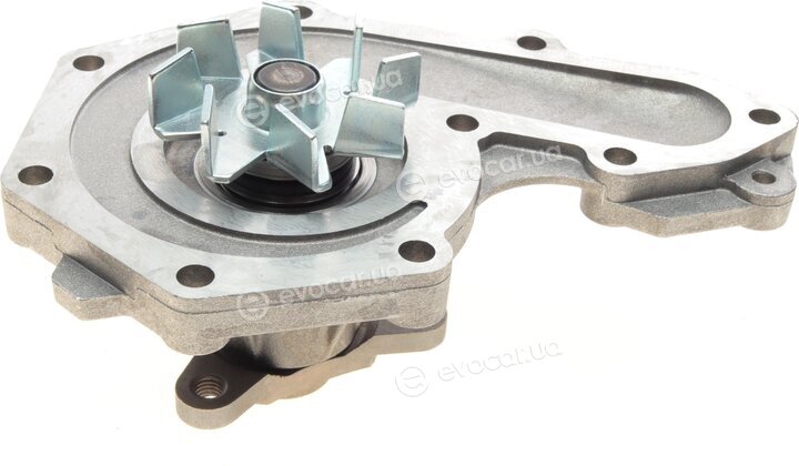 Hepu P054