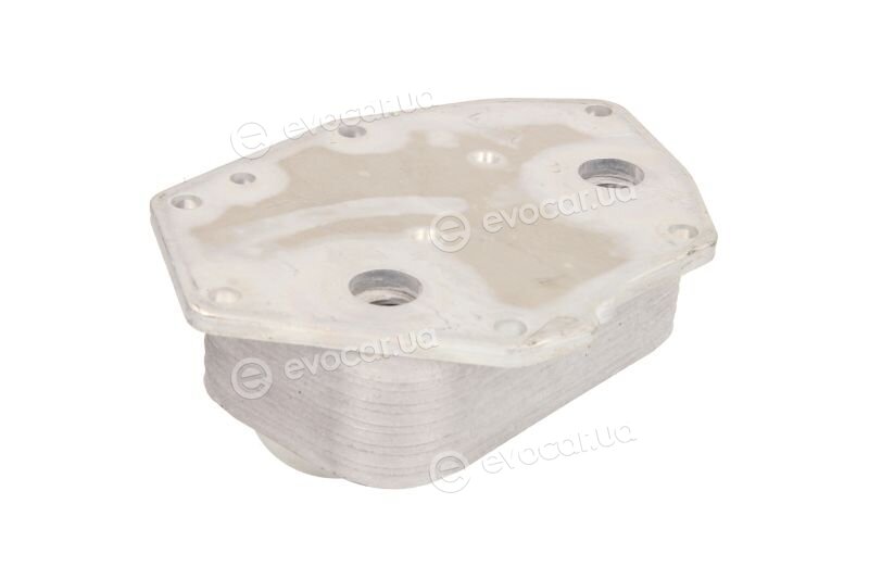 Thermotec D4C007TT