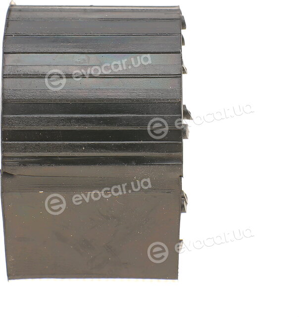 Solgy 201197