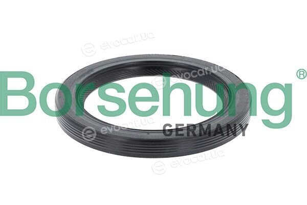 Borsehung B13361