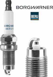 BorgWarner Z272