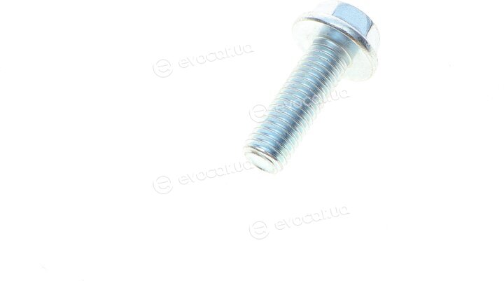 Solgy 203091