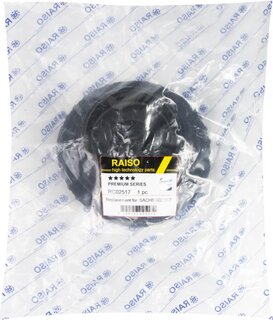 Raiso RC02517