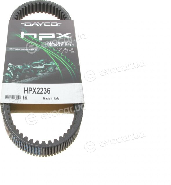 Dayco HPX2236