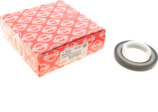 Elring 424.841