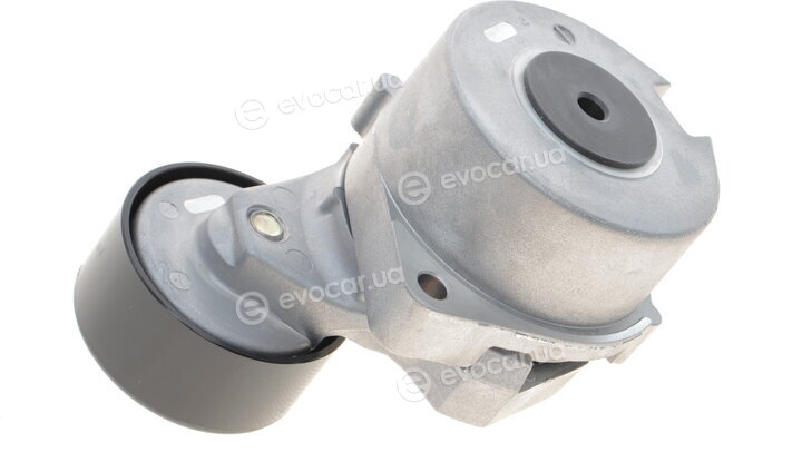 SKF VKM 63010