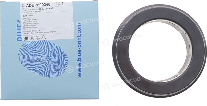 Blue Print ADBP800246