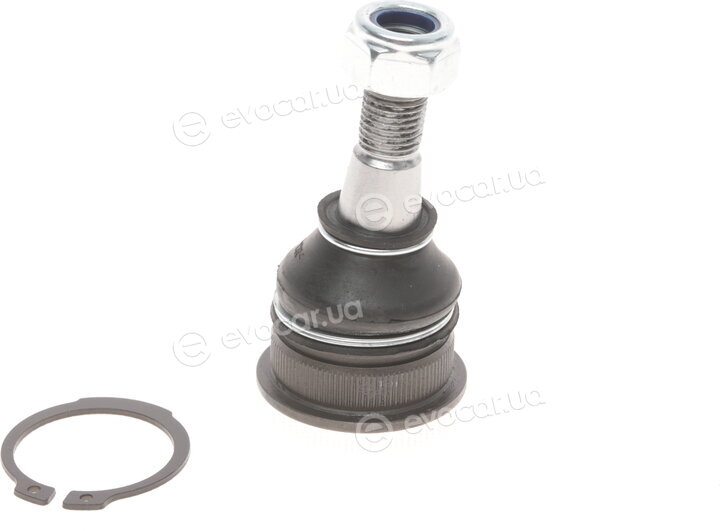 Solgy 203154