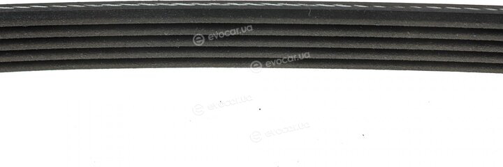 Dayco 5PK1334